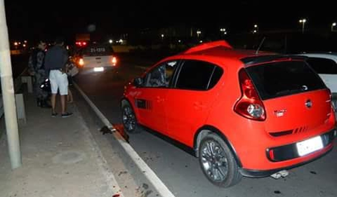 Animal solto na pista causa acidente na AL-220 em Arapiraca