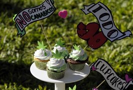 Argentina legaliza cultivo de maconha para consumo próprio de natureza médica