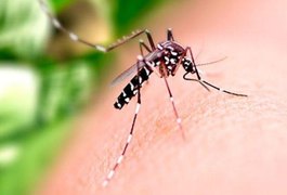 Saúde orienta população sobre cuidados com casas e empresas fechadas durante o Carnaval