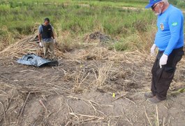 IML de Maceió busca identificação de ossadas encontradas na zona rural de Campestre