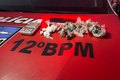 Dois homens são presos por tráfico de drogas no bairro Cidade Universitária