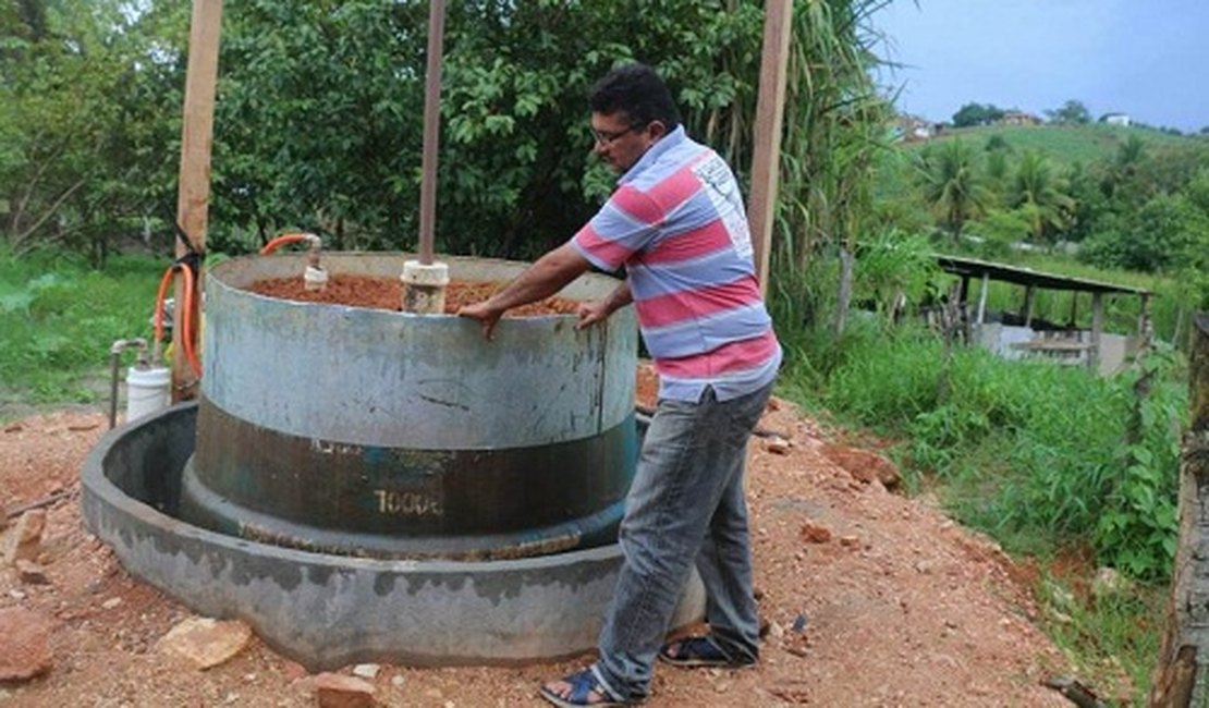 Agricultor produz biogás com fezes de porco