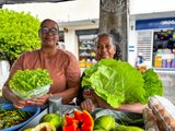 Feiras fortalecem agricultura familiar e celebram protagonismo feminino no campo alagoano