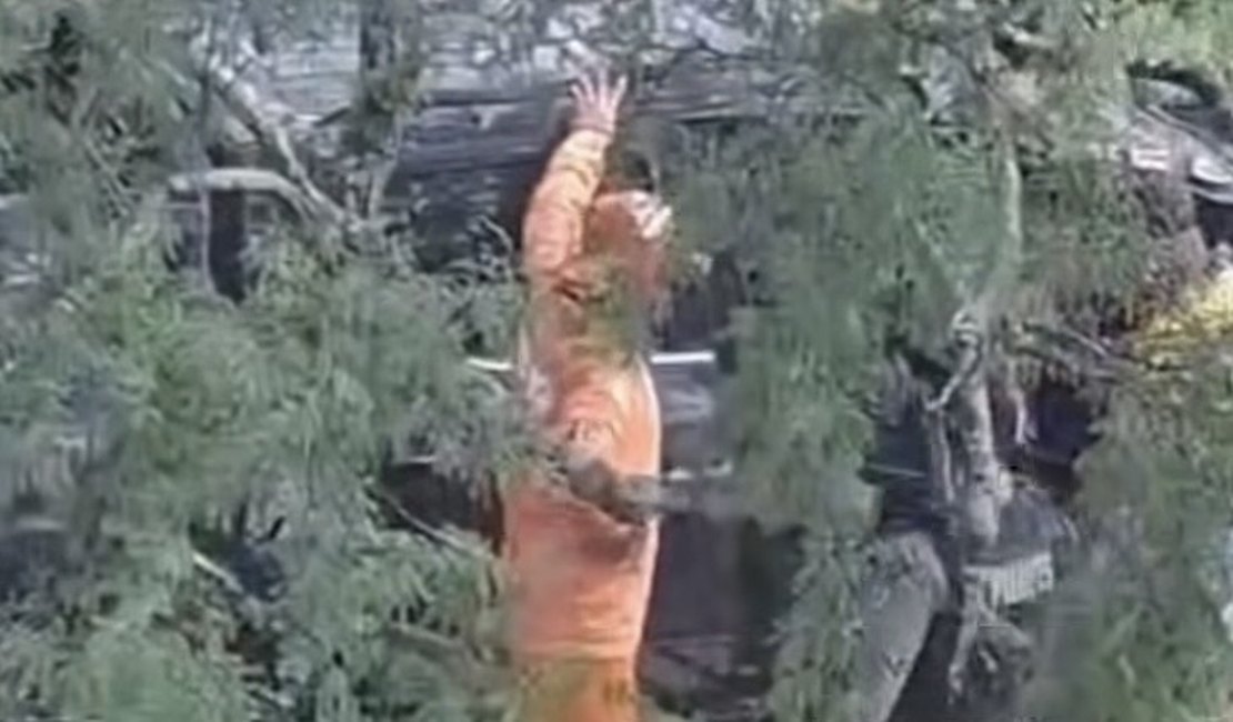 Motorista perde controle de caminhonete e cai em ribanceira em Batalha