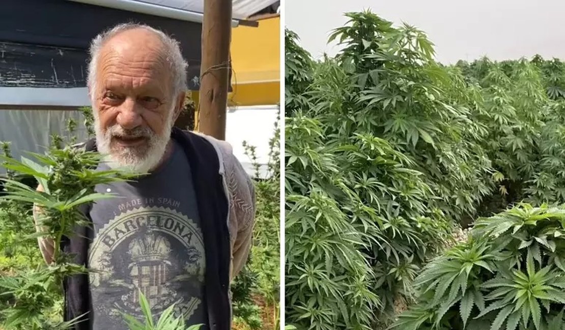 Ex-ator da Globo mostra plantação de maconha para consumo próprio em seu sítio