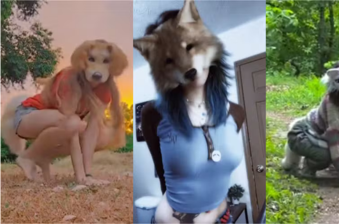 Entenda o que é uma pessoa therian, movimento de quem se identifica com animais