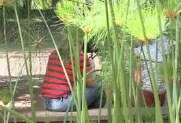 Criança de seis anos estuprada pelo padrasto filma abuso e manda vídeo para tia