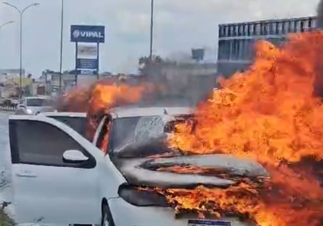 Carro pega fogo e assusta populares na AL-220, em Arapiraca