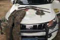 Operações ambientais resultam em apreensão de aves silvestres, armas e munições na Zona da Mata e Agreste de Alagoas