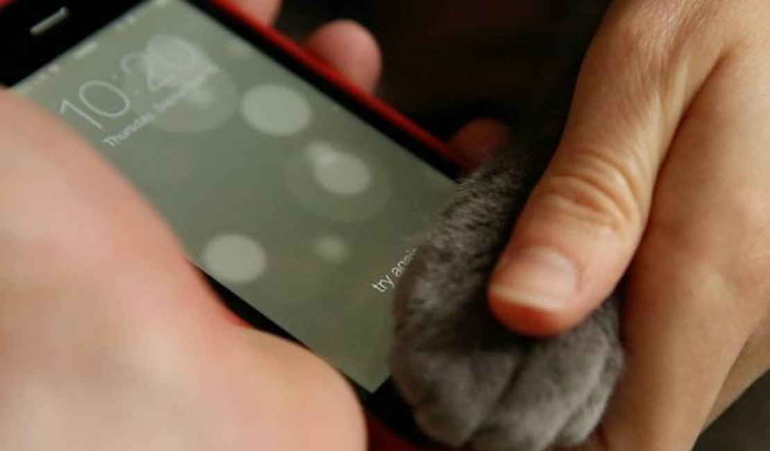 Pata de gato pode desbloquear iPhone 5s