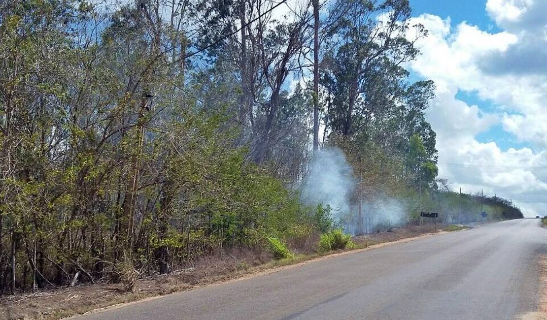 Área de preservação ambiental fica completamente destruída após incêndio