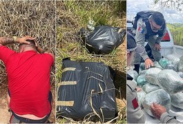 Polícia apreende 32 kg de maconha que seria comercializada em Alagoas e prende três