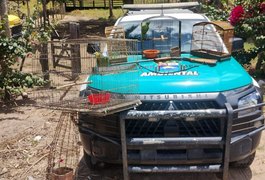 Batalhão Ambiental apreende arma de fogo e resgata animais silvestres no Agreste alagoano