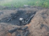 Operação Protetor dos Biomas intensifica combate a crimes ambientais em Alagoas