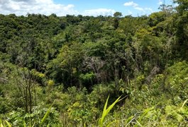 De forma inédita, Alagoas consegue zerar o desmatamento da Mata Atlântica