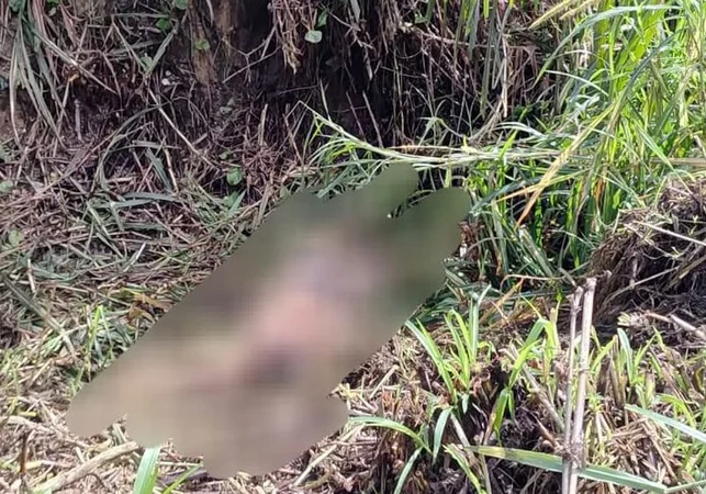 Homem encontrado morto com cerca de 40 facadas em Rio Largo é identificado pela Polícia Civil
