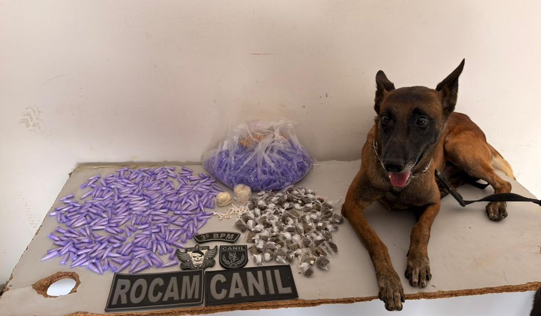 PM apreende drogas no Conjunto Frei Damião, em Arapiraca