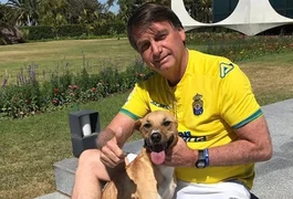 Cães caramelo de Bolsonaro mordem PMs durante guarda de prisão domiciliar