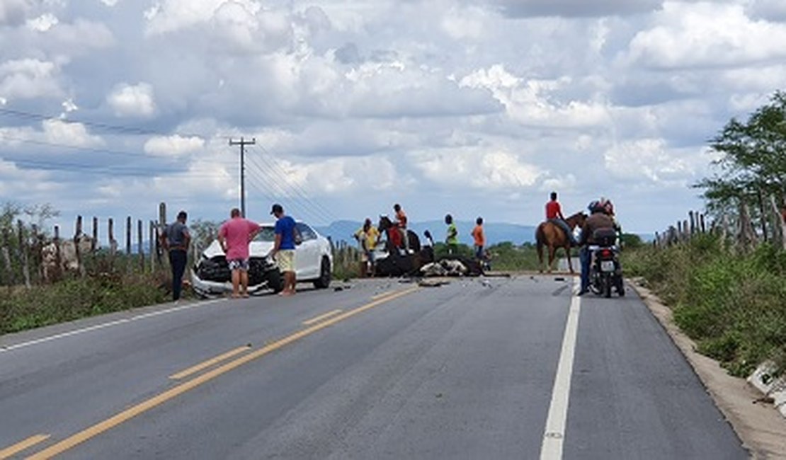 Vacas soltas na pista provocam acidente na AL-220; duas morreram