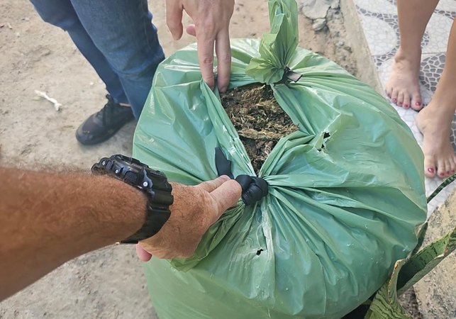 Polícia Militar prende suspeito de homicídio com 25kg de maconha no interior