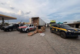 Carga de cigarros contrabandeados avaliada em R$ 1,5 milhão é apreendida em Arapiraca