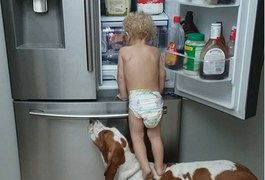 Casal flagra bebê assaltando geladeira com ‘cúmplice canino’; veja o vídeo