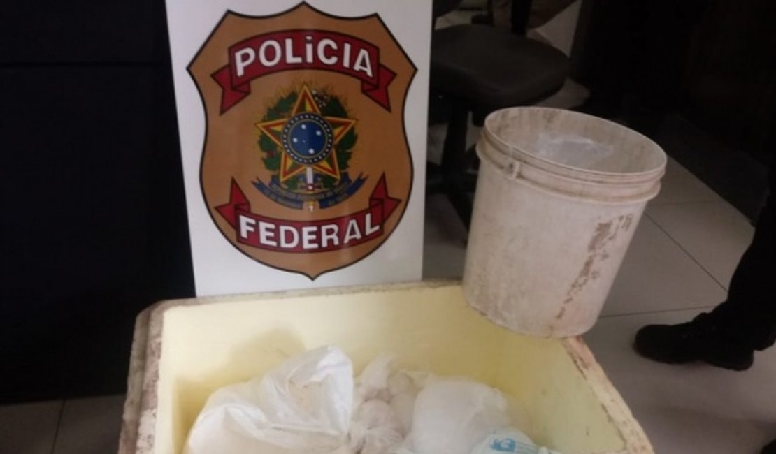 PF prende dois suspeitos de tráfico de drogas em Caruaru e Pesqueira, no Agreste de Pernambuco