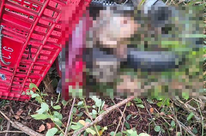 Homem que transportava frango em motocicleta, é encontrado morto às margens da AL-101 Sul, em Penedo