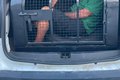 5ª Companhia prende idoso suspeito de importunação sexual dentro de ônibus em Maceió