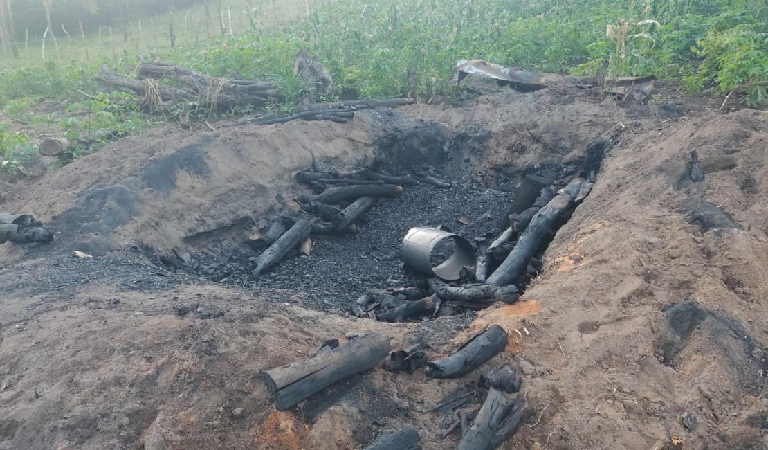 Operação Protetor dos Biomas intensifica combate a crimes ambientais em Alagoas
