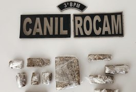 Policiais militares apreendem quase meio quilo de maconha em Arapiraca; homem foi preso