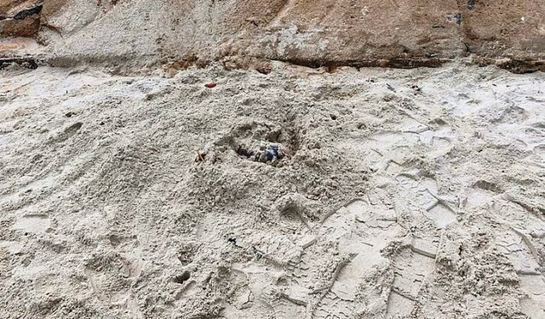 Polícia Civil tem suspeitos de matar mulher e enterrar corpo na Praia do Francês
