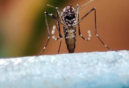Mais de 10 mil casos de arboviroses são registrados no estado de Alagoas em 2026