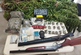 PM descobre plantação de maconha e prende suspeito armado em Penedo