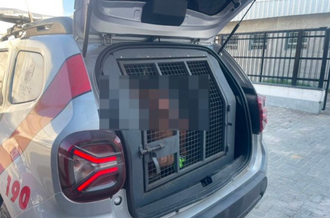 PM prende homem por obstrução do trabalho da polícia durante abordagem na Feira do Rato