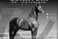 Haras alagoano registra morte de 69 cavalos por consumo de ração contaminada; entre eles, um avaliado em R$ 12 milhões