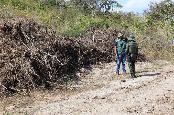 Fiscalização embarga áreas desmatadas que equivalem a 419 campos de futebol em Limoeiro de Anadia, Olho d'Água Grande e São Brás