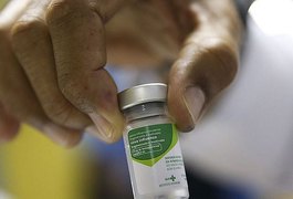 Alagoas amplia público para vacinação contra Influenza a partir deste sábado