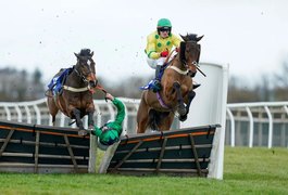 Cavalo sofre ataque cardíaco e morre em corrida na Inglaterra