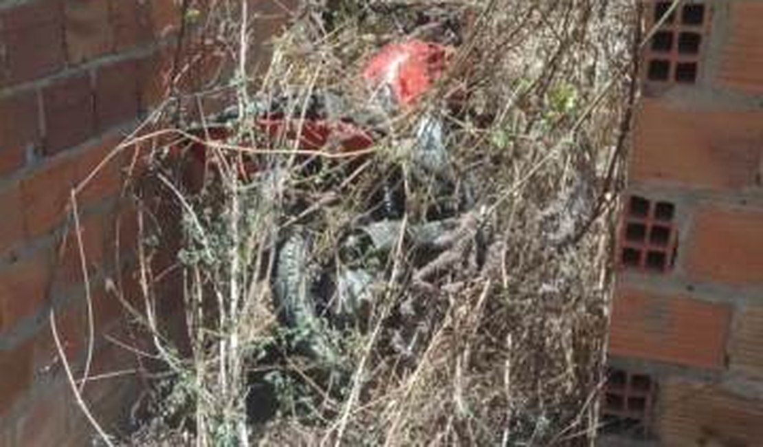 Motocicleta roubada é encontrada abandonada no bairro Canafístula, em Arapiraca