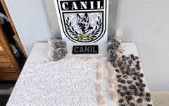Cadela K9 Bereta encontrou drogas na Canafístula