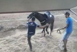 Vaqueiro pernambucano popular nas redes sociais é flagrado chutando cabeça de cavalo; ASSISTA