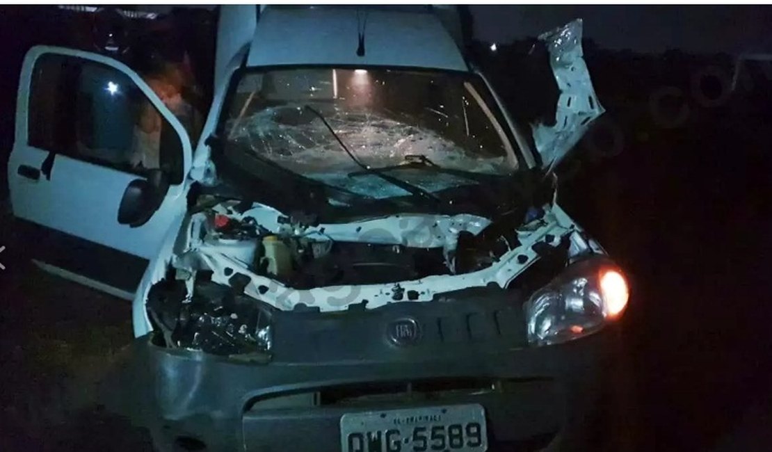 Carro fica destruído e animal morre após colisão na AL 220, em Campo Alegre