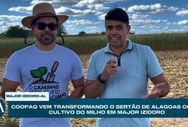 COOPAQ fortalece produção de milho e impulsiona agricultura familiar no Sertão de Alagoas
