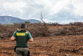 Fiscalização embarga 40 áreas na Caatinga alagoana em dez dias