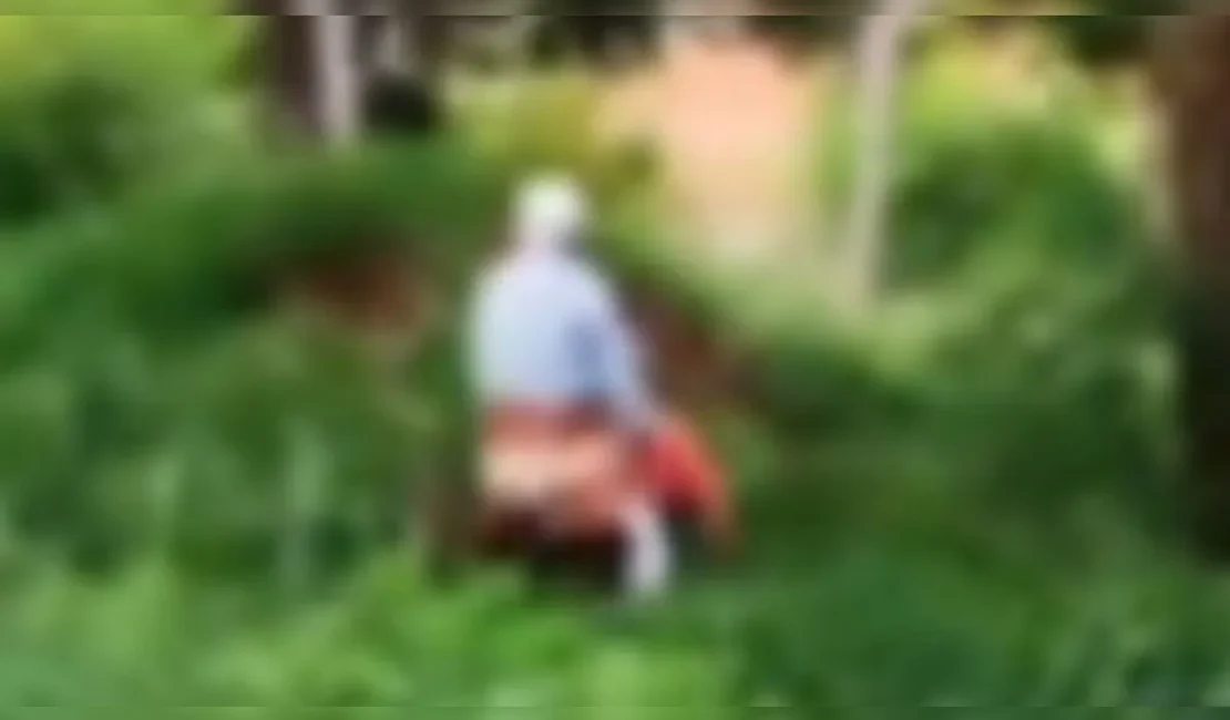 'O velhinho está melhor que você': Casal de idosos é flagrado fazendo sexo ao ar livre; assista