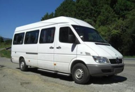 Dupla armada assalta passageiros de transporte alternativo na AL-220