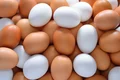 Após acusar esposa de roubar ovos de galinha, homem agride a companheira e faz filha comer lama em Feira Grande
