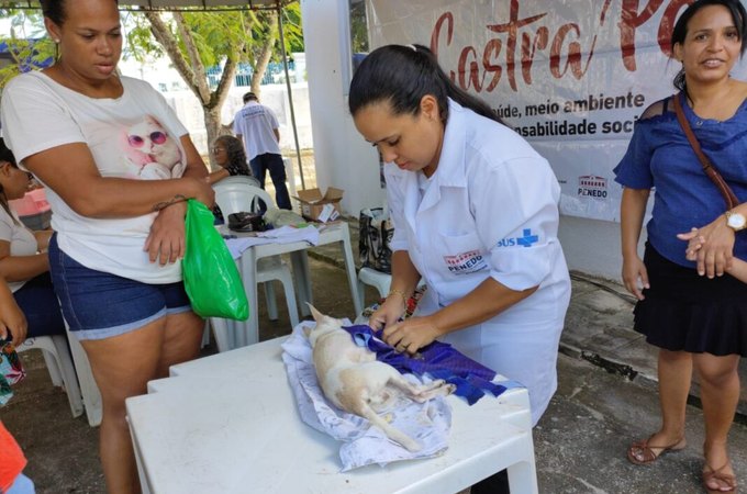 Programa Castra Pet realiza a castração de 40 cães e gatos em Penedo