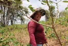 Participação do interior no PIB de Alagoas supera a capital, aponta IBGE